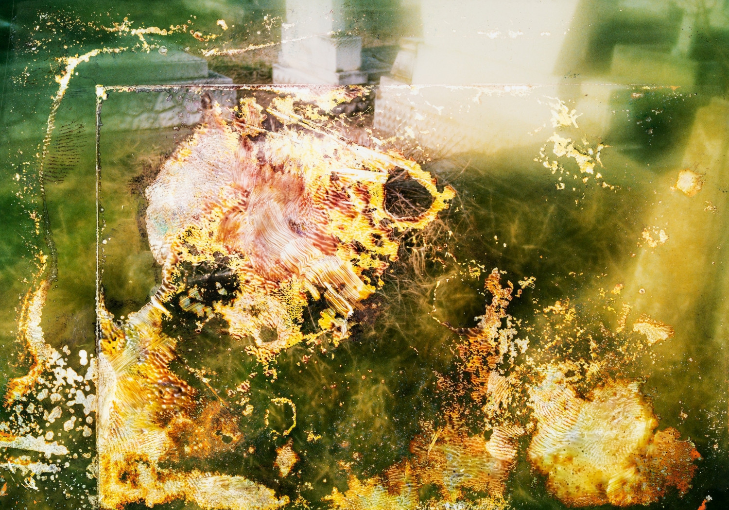 Letters for Lost Echoes