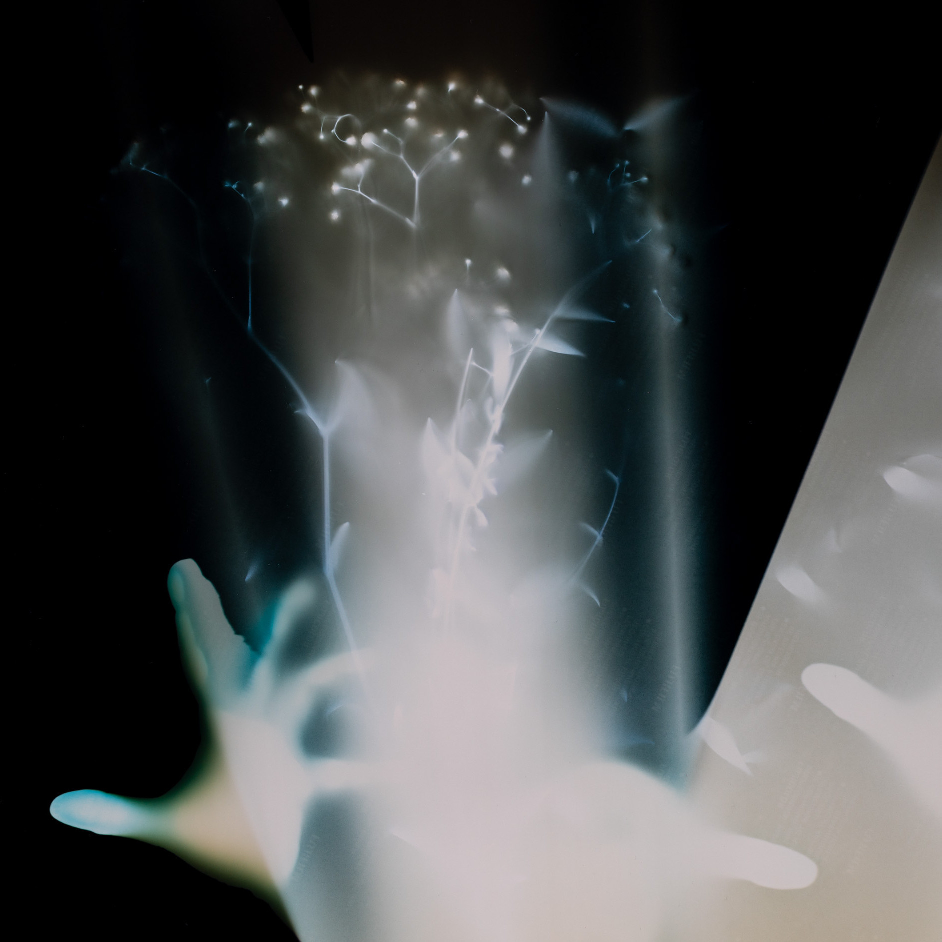 Hogyan lehet egy téglával betörni a bank ablakát, ha még ahhoz sincs erőnk, hogy kikeljünk az ágyból?