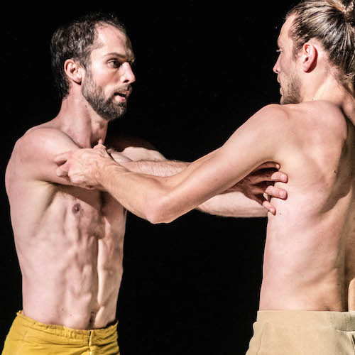 Through the Grapevine