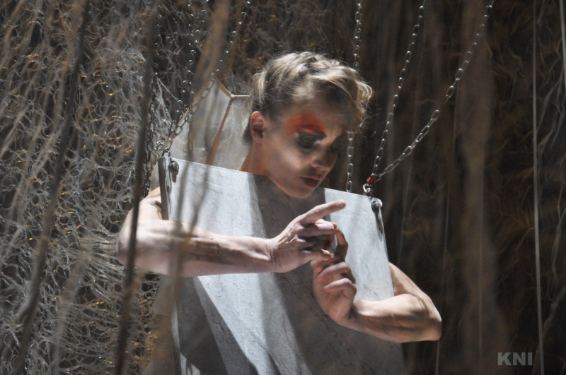 Természetes Vészek Kollektíva: Aura 